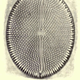 Illustration for article titled 110 Years Ago, These Microscopic Photos Horrified Londoners